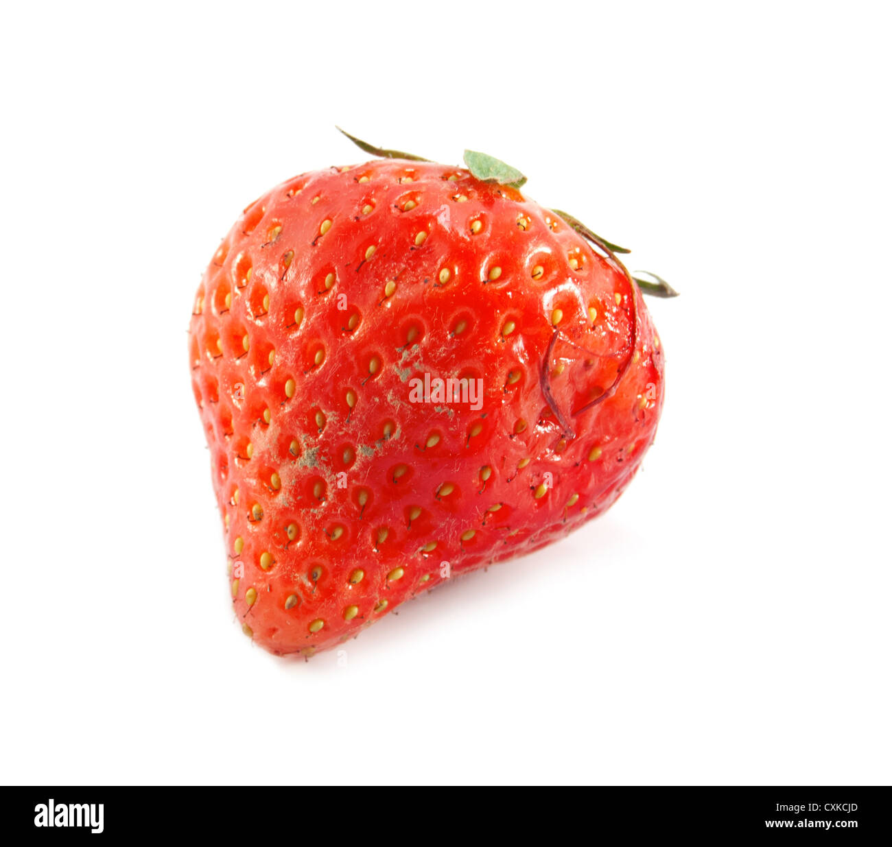 Fraises fraîches ont été placés sur un fond blanc Banque D'Images