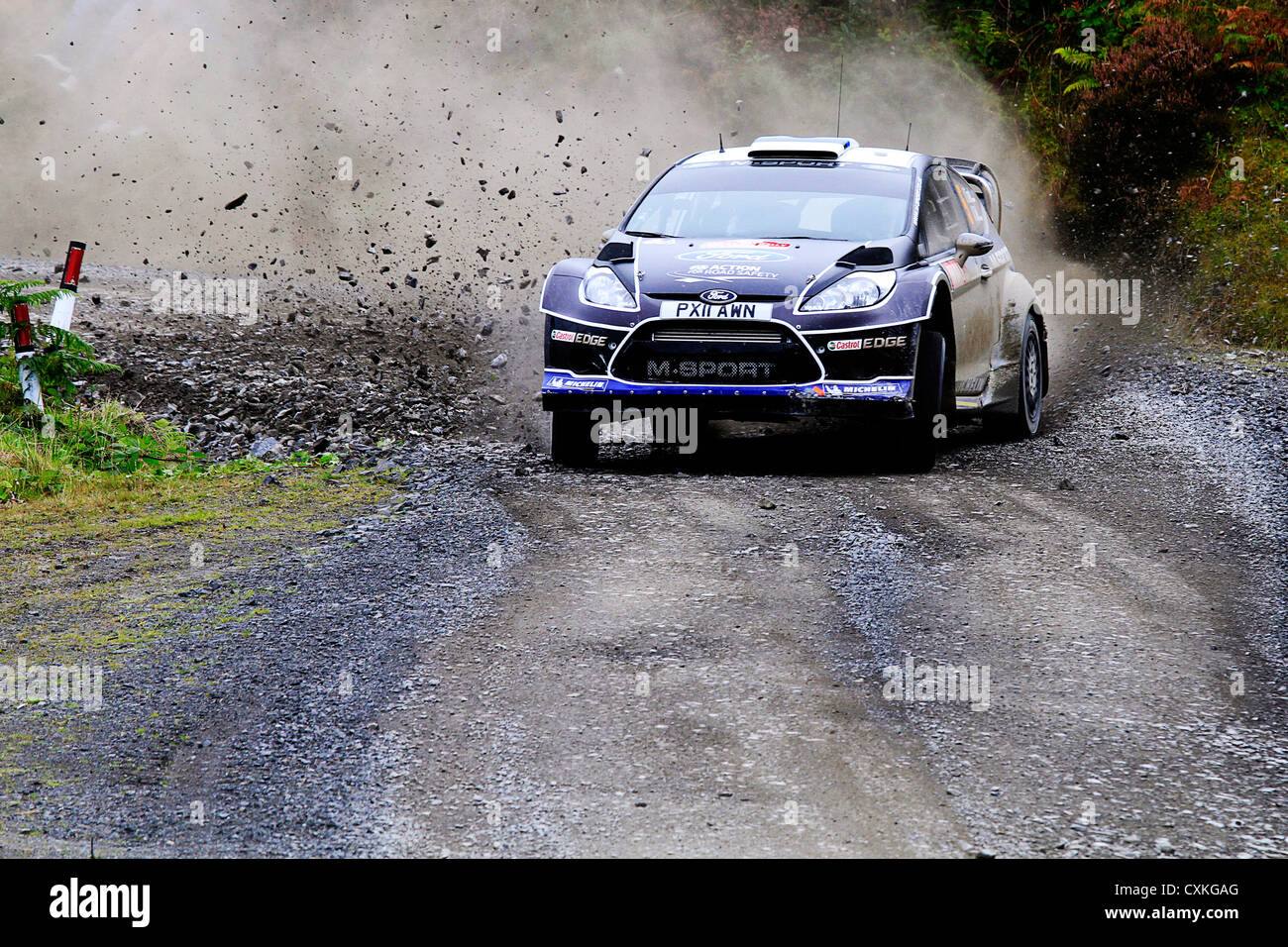 WRC 2012, Pays de Galles, O Tanak Banque D'Images