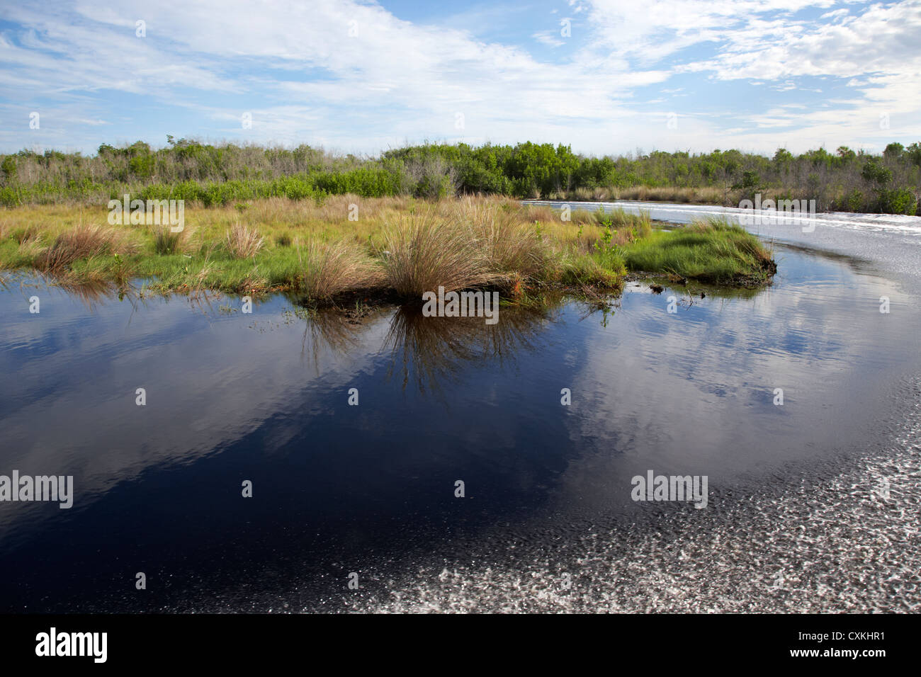 Service de bateau dans les prairies inondées dans les Everglades de Floride usa Banque D'Images