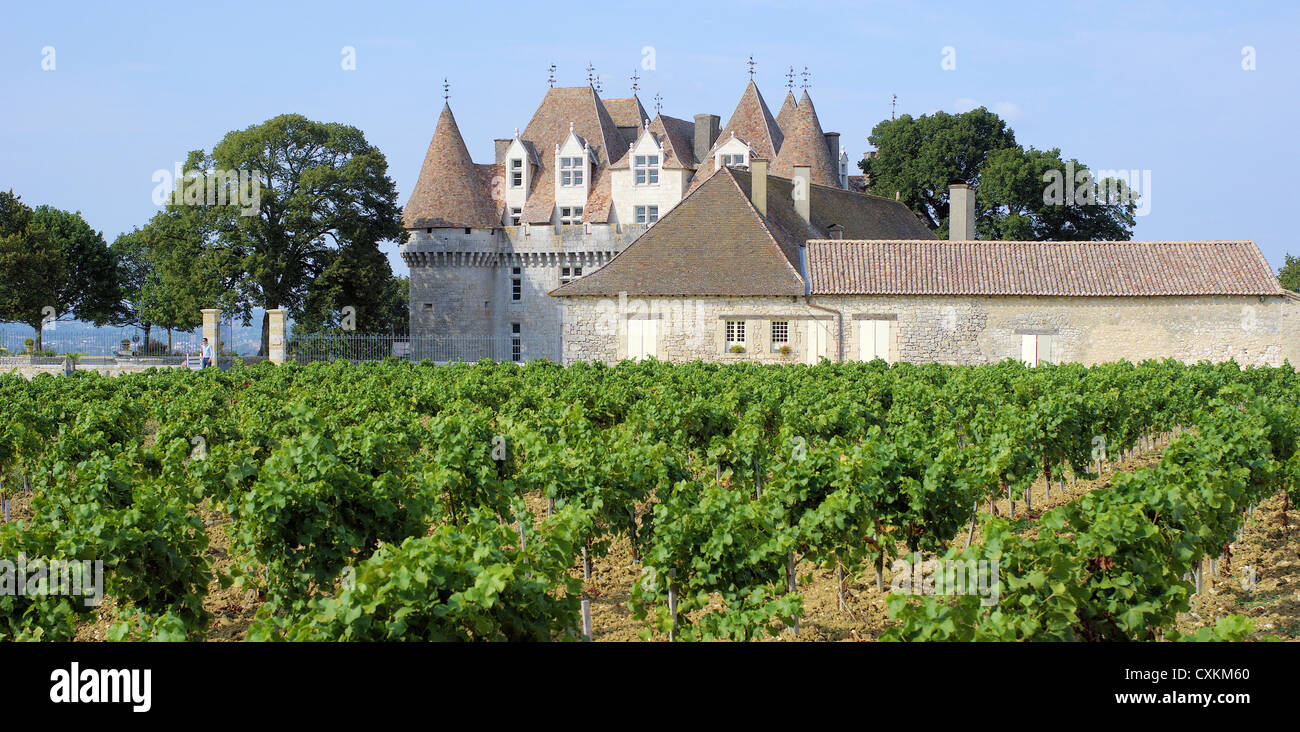 Château de Monbazillac et c'est vignes Périgord France Banque D'Images
