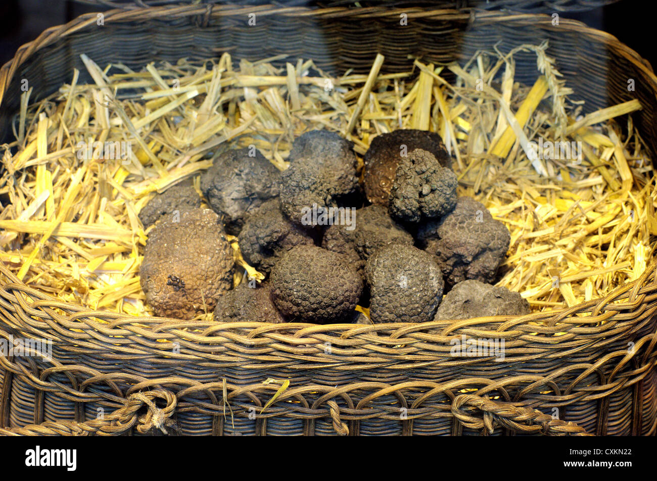 Truffes noires dans le panier le Sarlat la Caneda Périgord Noir France Banque D'Images