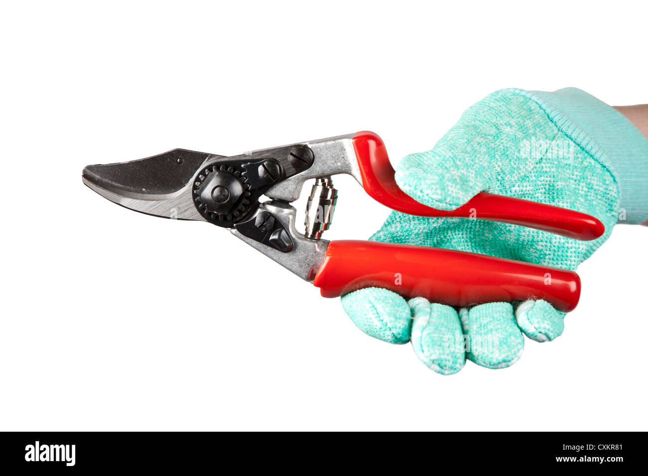 Une main du jardinier gants de protection en tenant une paire de sécateur. Banque D'Images