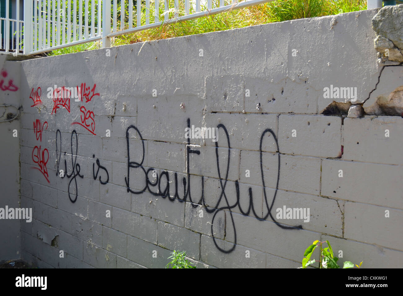 En anglais Graffiti sur un mur près de la Seine à Paris déclare : "La vie est belle". Banque D'Images