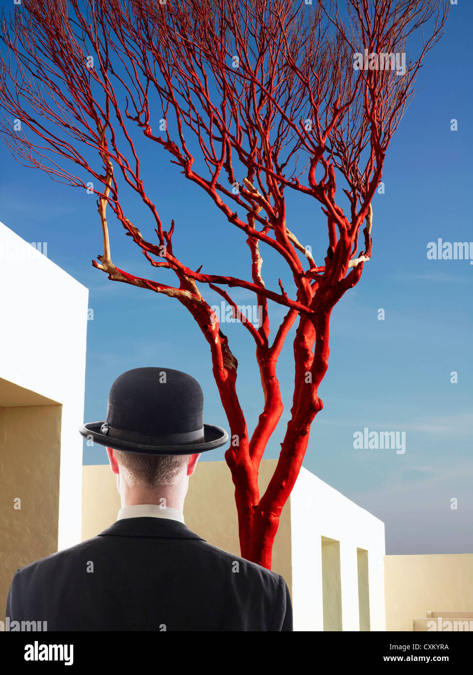 Face à l'homme blanc, de bâtiment avec une simple red tree Banque D'Images