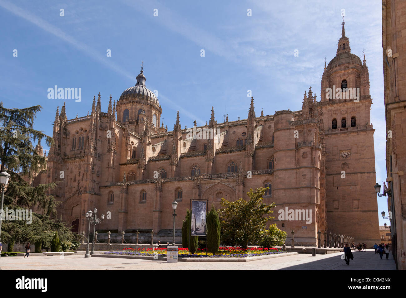 Anaya Square, en face de la cathédrale de Santa Maria, Salamanque, Castille Leon Espagne Europe Banque D'Images