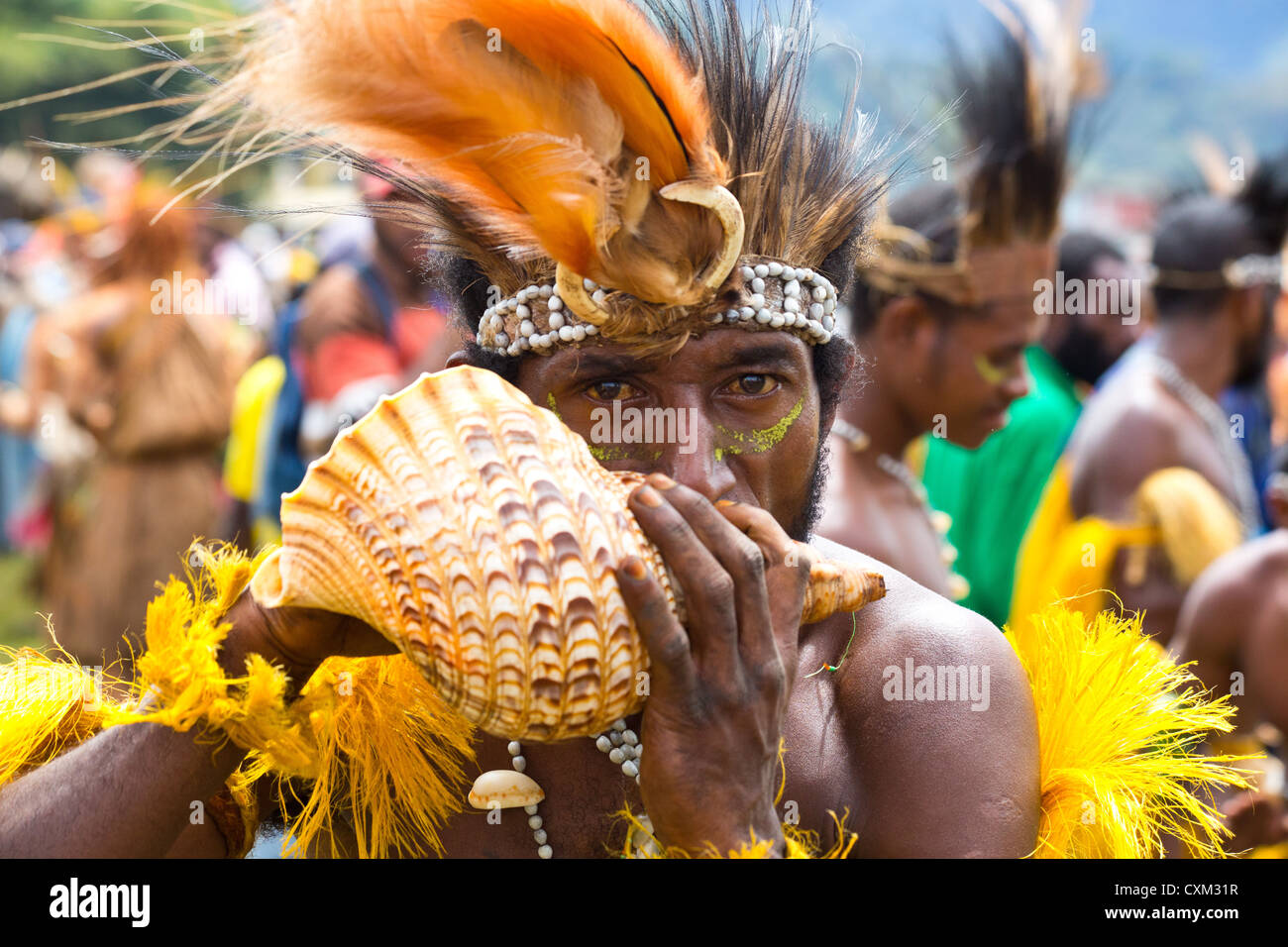 Homme portant costume tribal traditionnel et souffle dans un shell à l'singsing Goroka Festival, Papouasie Nouvelle Guinée Banque D'Images