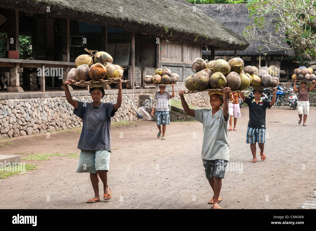 Transport de femmes de coco récoltées à Tenganan, près de Candi Dasa, l'Est de Bali, Indonésie. Banque D'Images