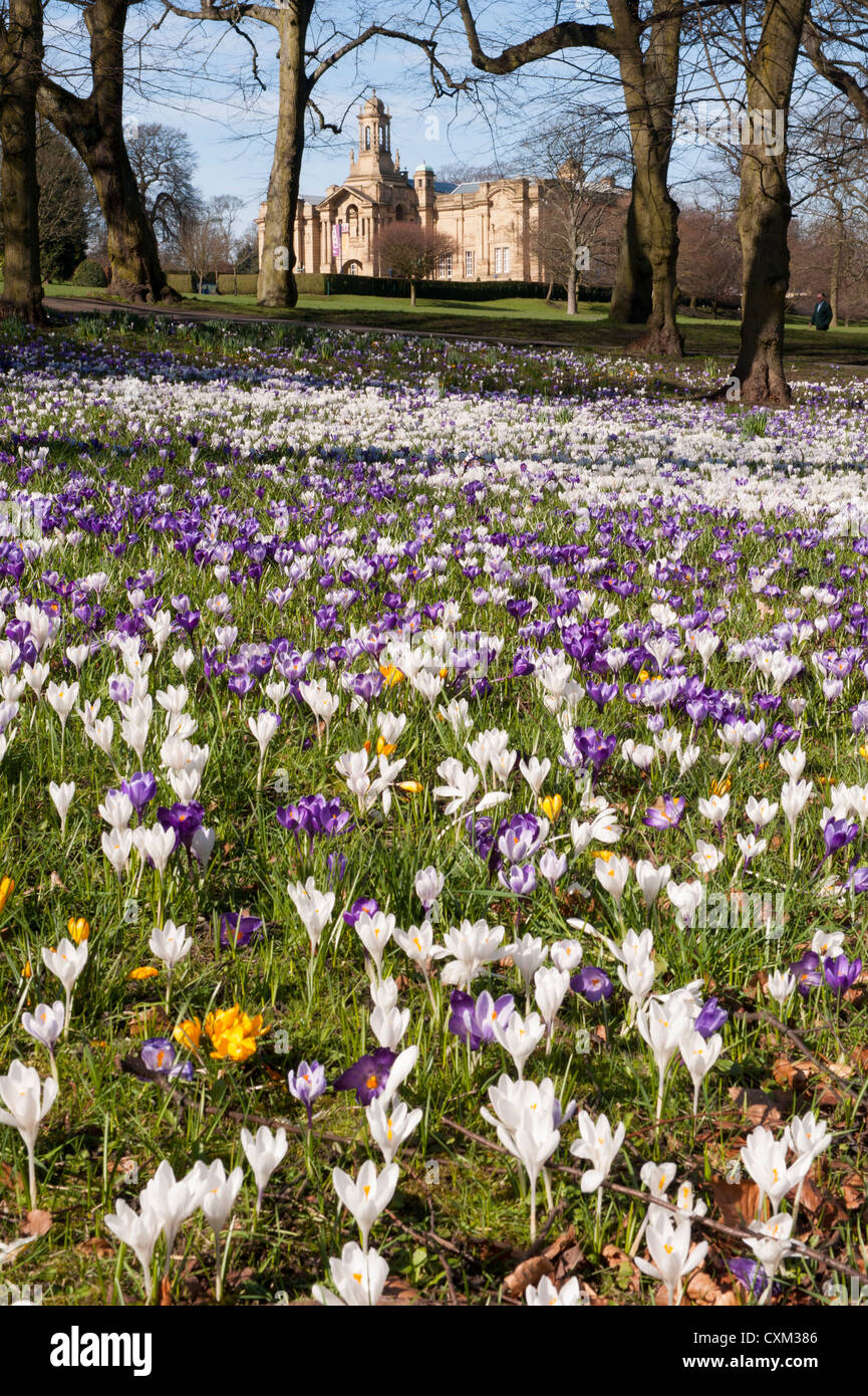 Tapis de magnifiques paysages de printemps colorés sur pelouse par Cartwright Hall Art Gallery (bâtiment historique) - Sunny Lister Park, Bradford, Angleterre, Royaume-Uni. Banque D'Images