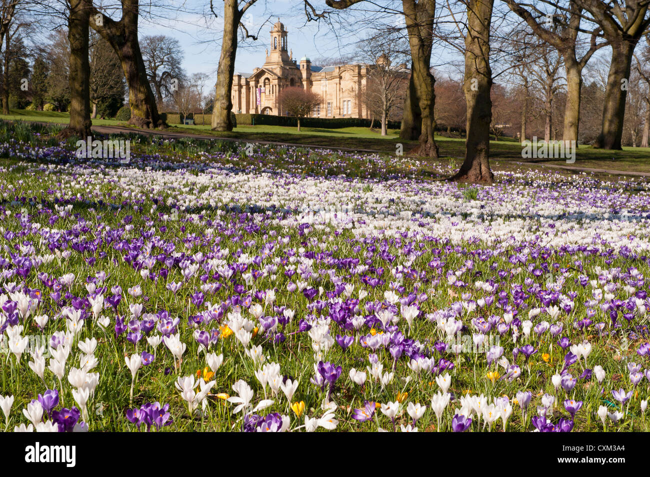 Tapis de magnifiques paysages de printemps colorés sur pelouse par Cartwright Hall Art Gallery (bâtiment historique) - Sunny Lister Park, Bradford, Angleterre, Royaume-Uni. Banque D'Images