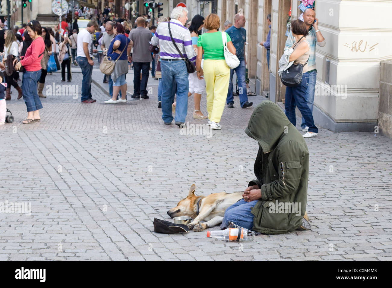 Mendiant dans les rues de Prague avec son chien Canis lupus familiaris Banque D'Images