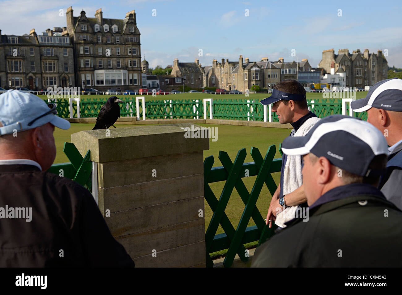 St Andrews golf caddies et crow Banque D'Images