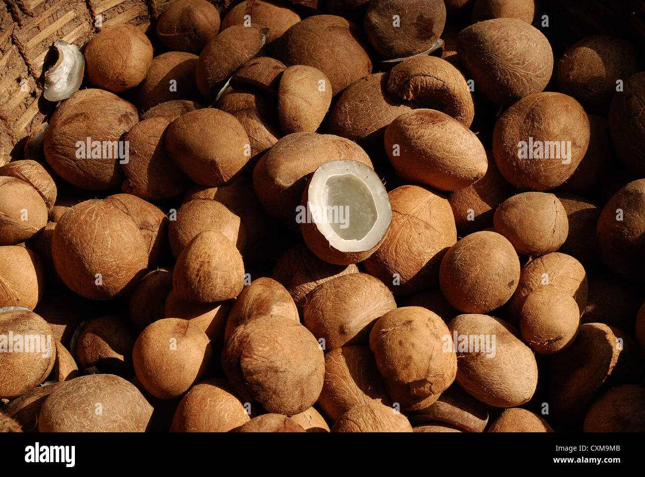 Noix de coco ou de coprah sec Banque D'Images