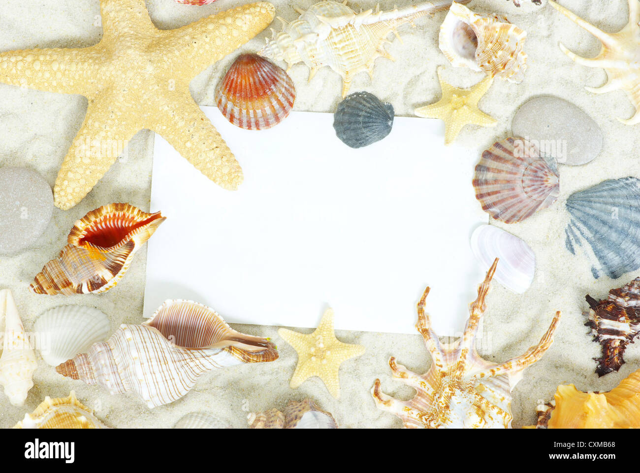 Les étoiles de mer et les coquillages une carte postale vierge sur des sables Banque D'Images