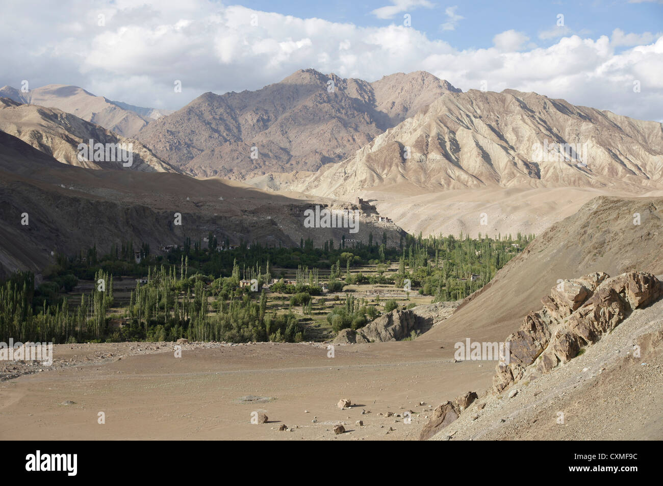 Vallée de l'Indus, entre et Saspol Nurla, Srinagar-Leh-routes, le Jammu-et-Cachemire, l'Inde Banque D'Images