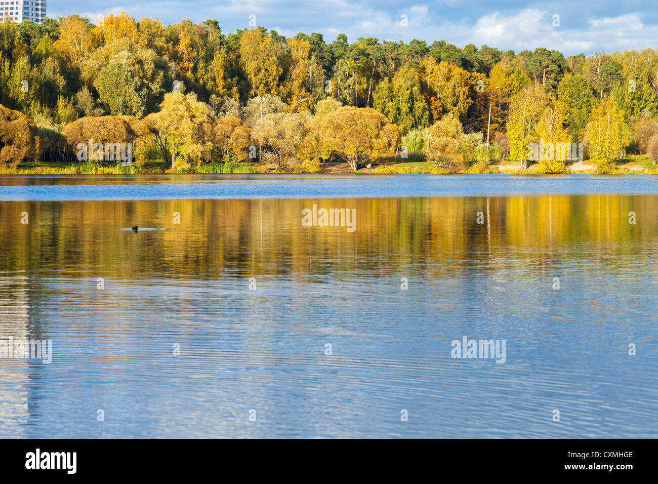 Front de lac urbain en journée d'automne Banque D'Images