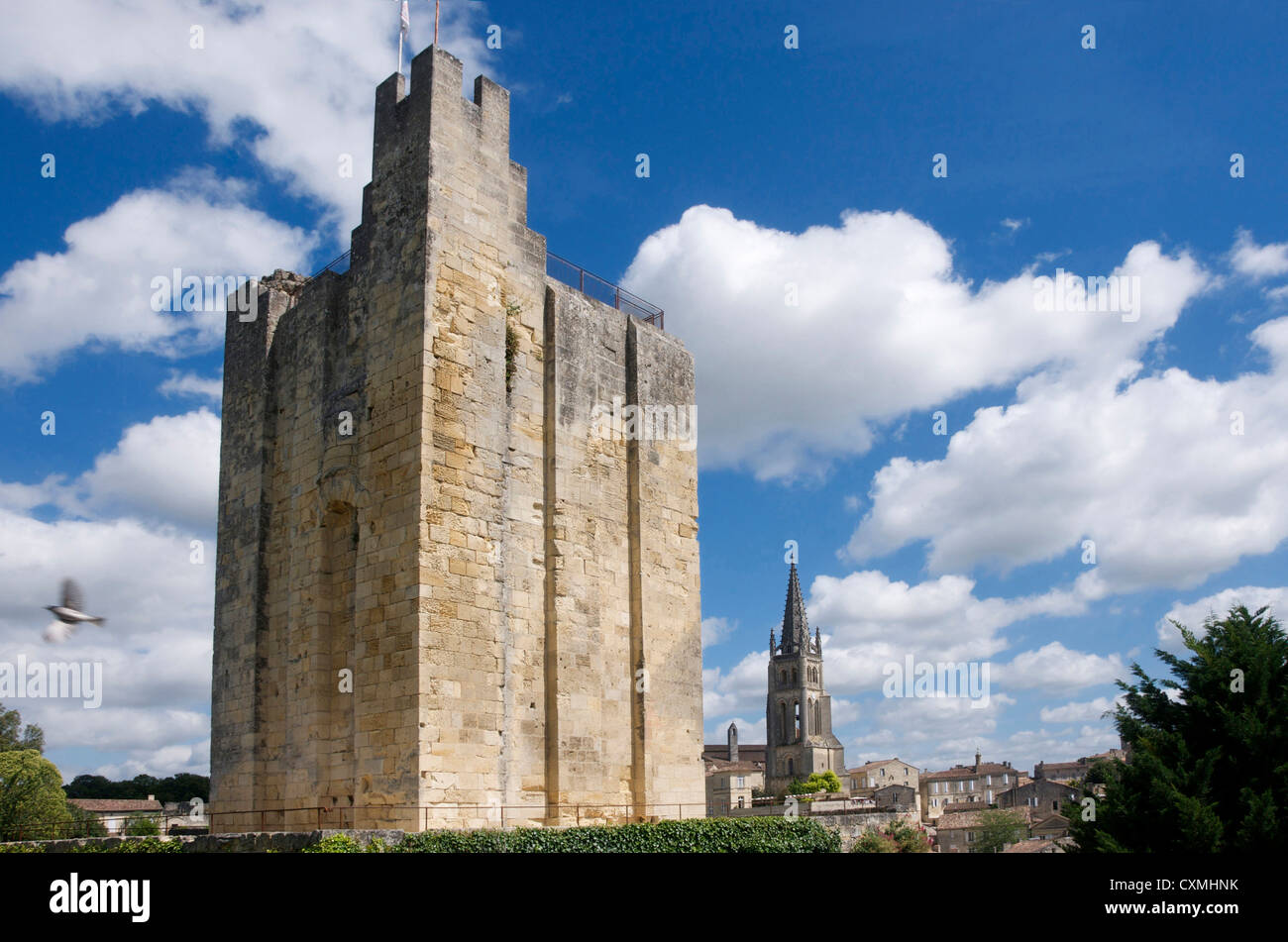 Chateau du Roi, château du roi, tour, donjon, Saint-Émilion, Bordeaux, Gironde, France, Europe Banque D'Images