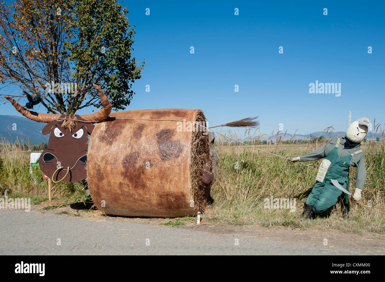L'homme et de l'épouvantail de bull à Stevensville, Montana. Banque D'Images