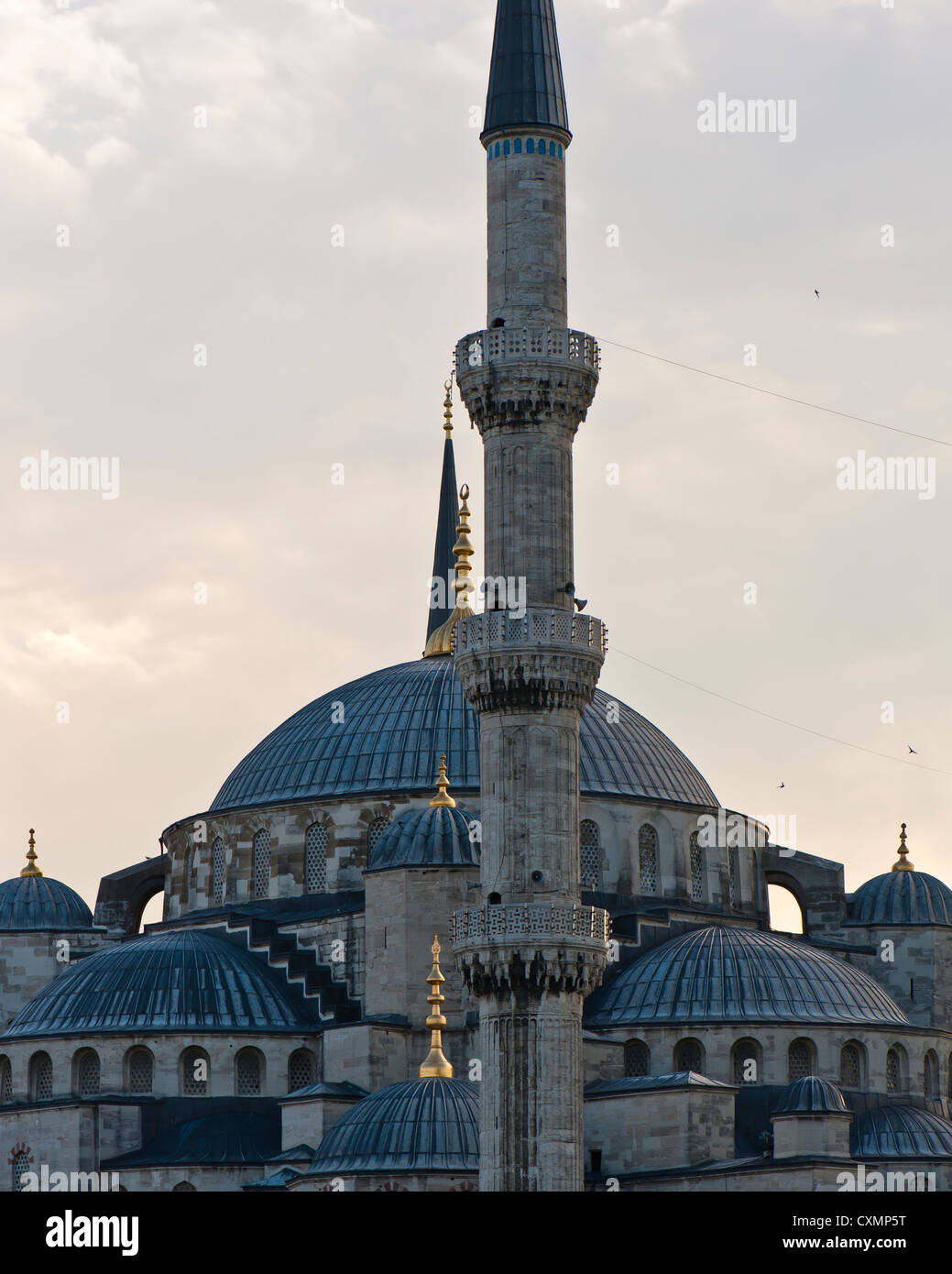 Mosquée bleue Banque D'Images