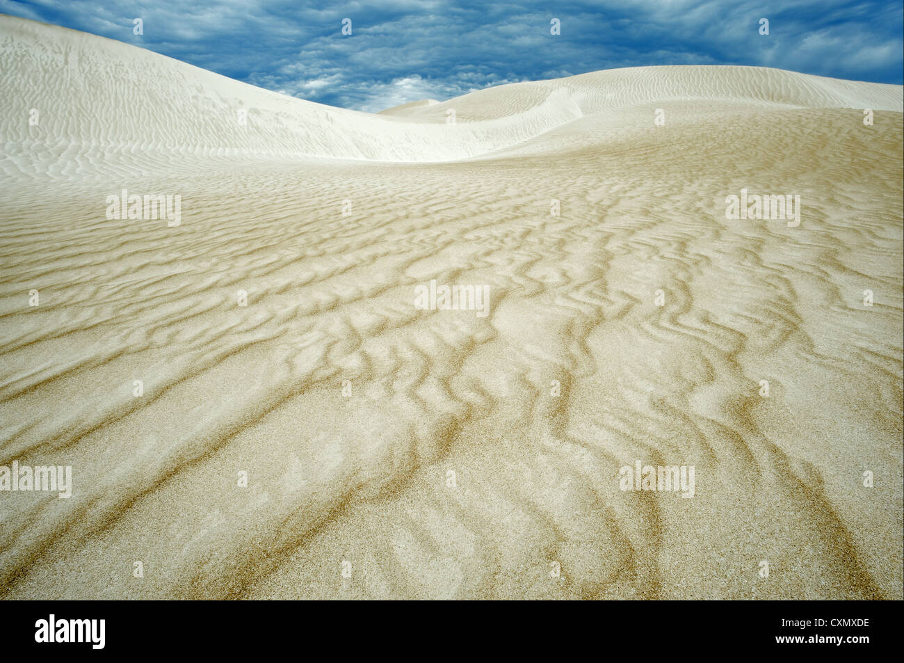 Cactus Beach Dunes sous de sombres nuages. Banque D'Images