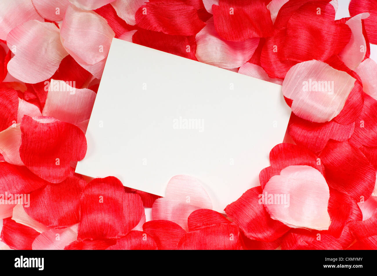 Pétale de Rose notecard pour utilisation à la Saint-Valentin, jour le plus doux ou pour toute invitation romantique ou de l'annonce Banque D'Images