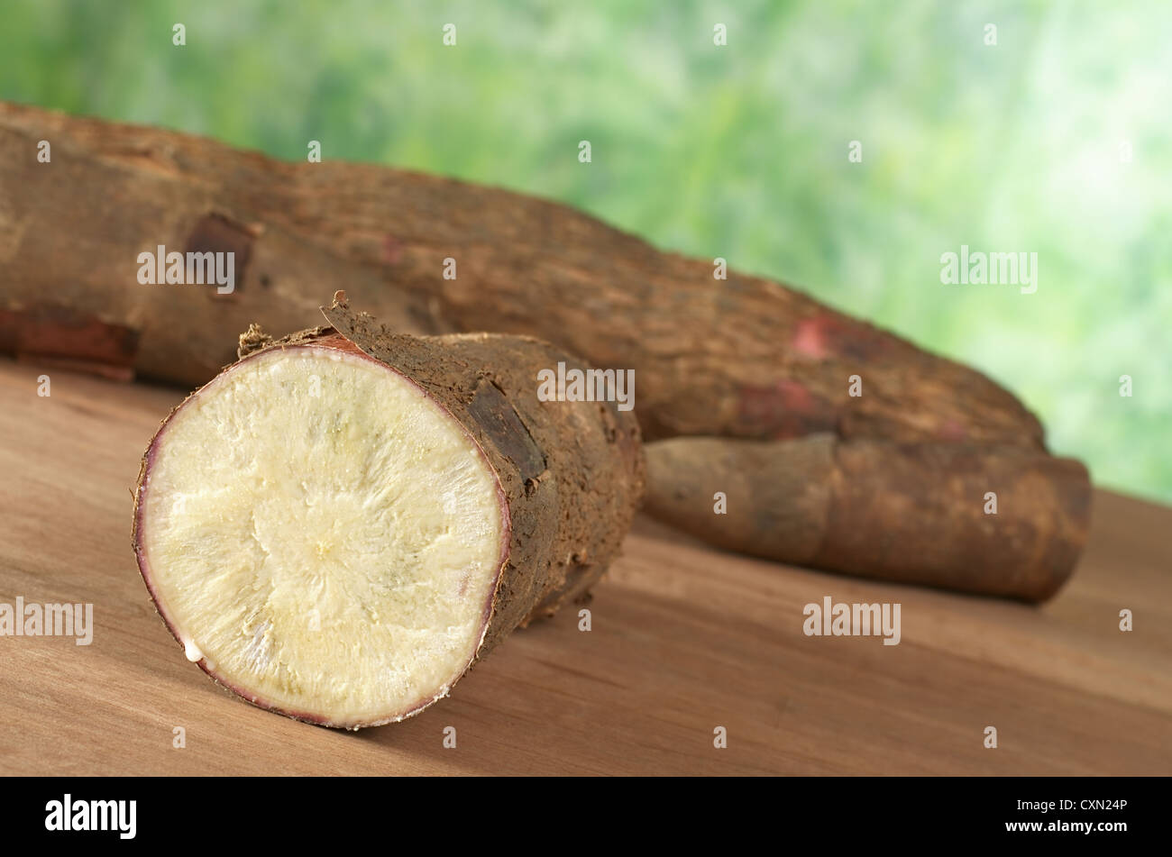 Matières le manioc (lat. Manihot esculenta) sur bois avec un fond vert (Selective Focus, se concentrer sur l'avant) Banque D'Images