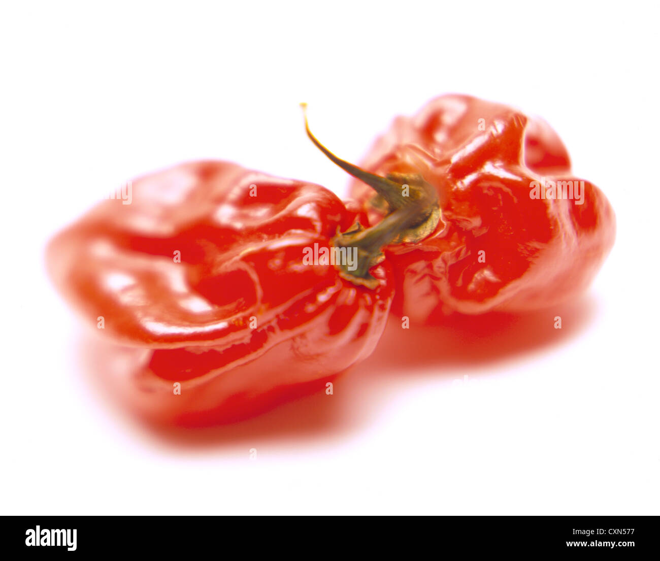 Deux piments scotch bonnet sur blanc. ©mak Banque D'Images