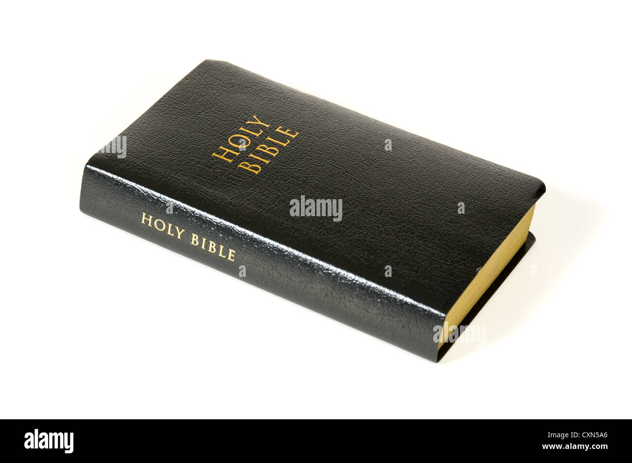 Sainte Bible sur fond blanc Banque D'Images