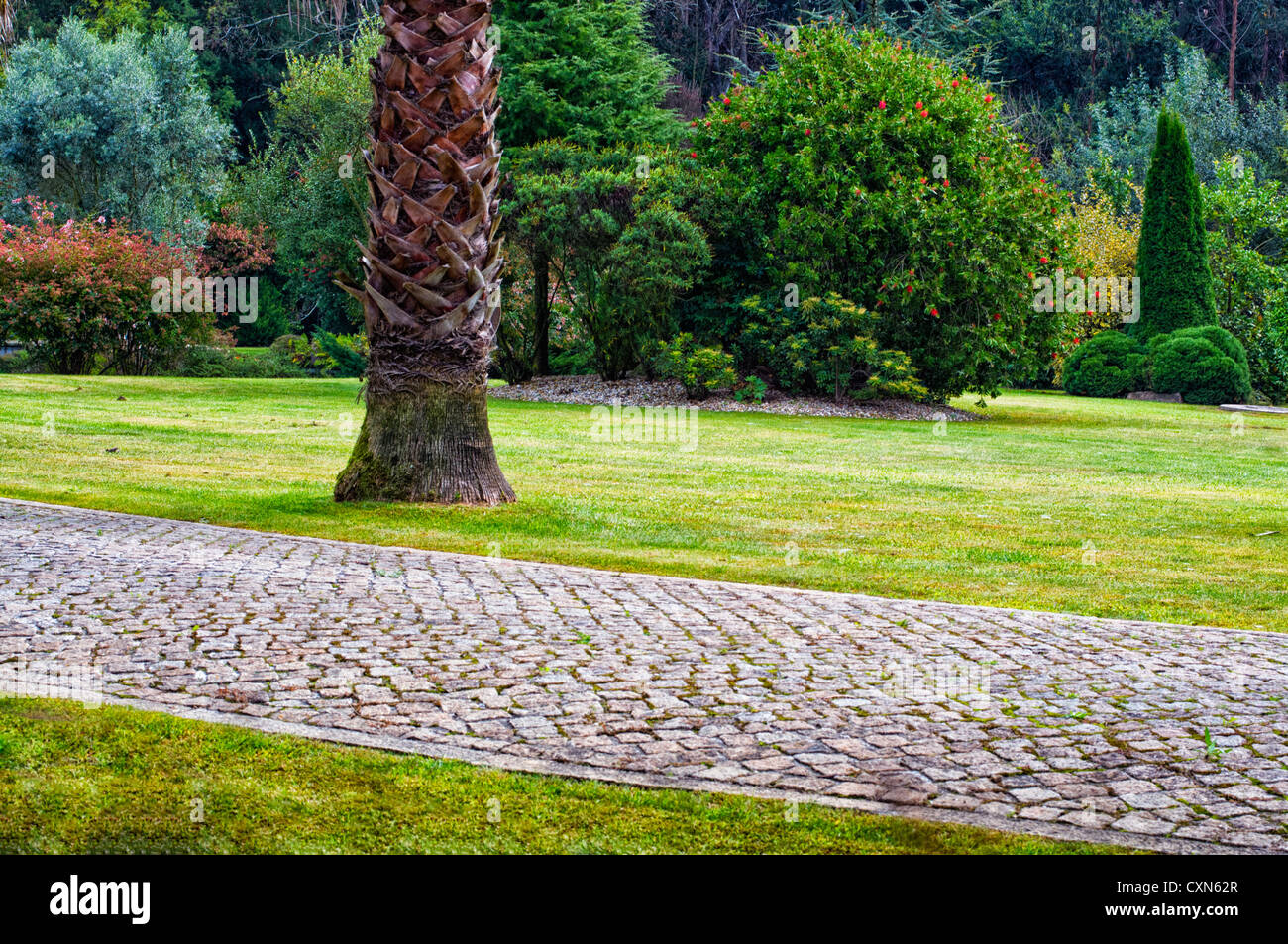 Beau jardin avec des couleurs étonnantes et un bon éclairage Banque D'Images