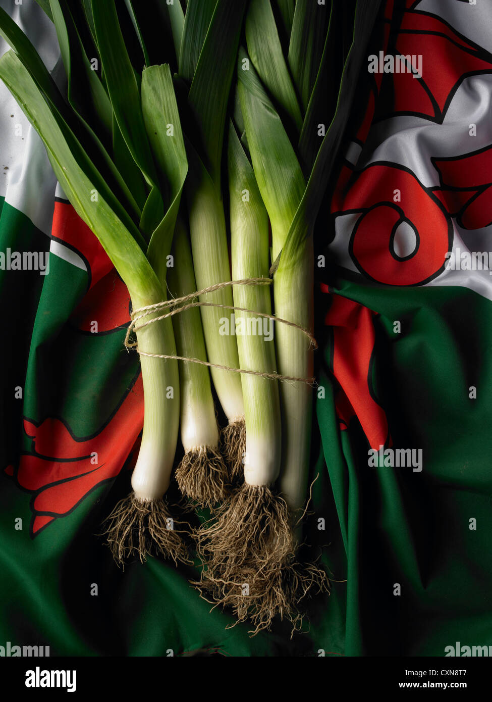 Pourquoi Le Poireau Est L'emblème Du Pays De Galles Symbole National Du Pays De Galles Banque d'image et photos - Alamy