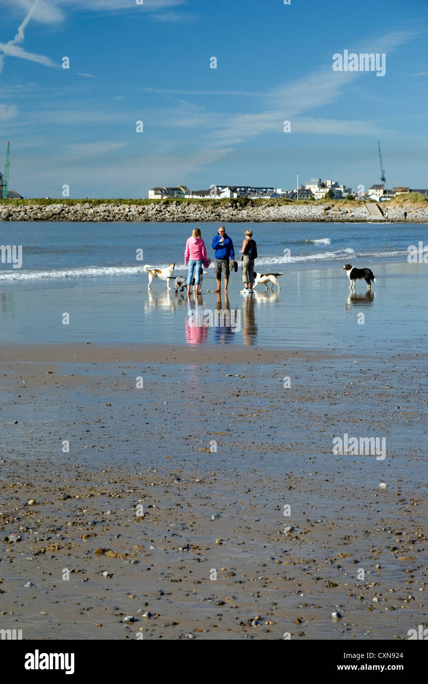 Les gens qui marchent sur les chiens Trecco Bay, plage de Porthcawl, dans le sud du Pays de Galles, Royaume-Uni. Banque D'Images