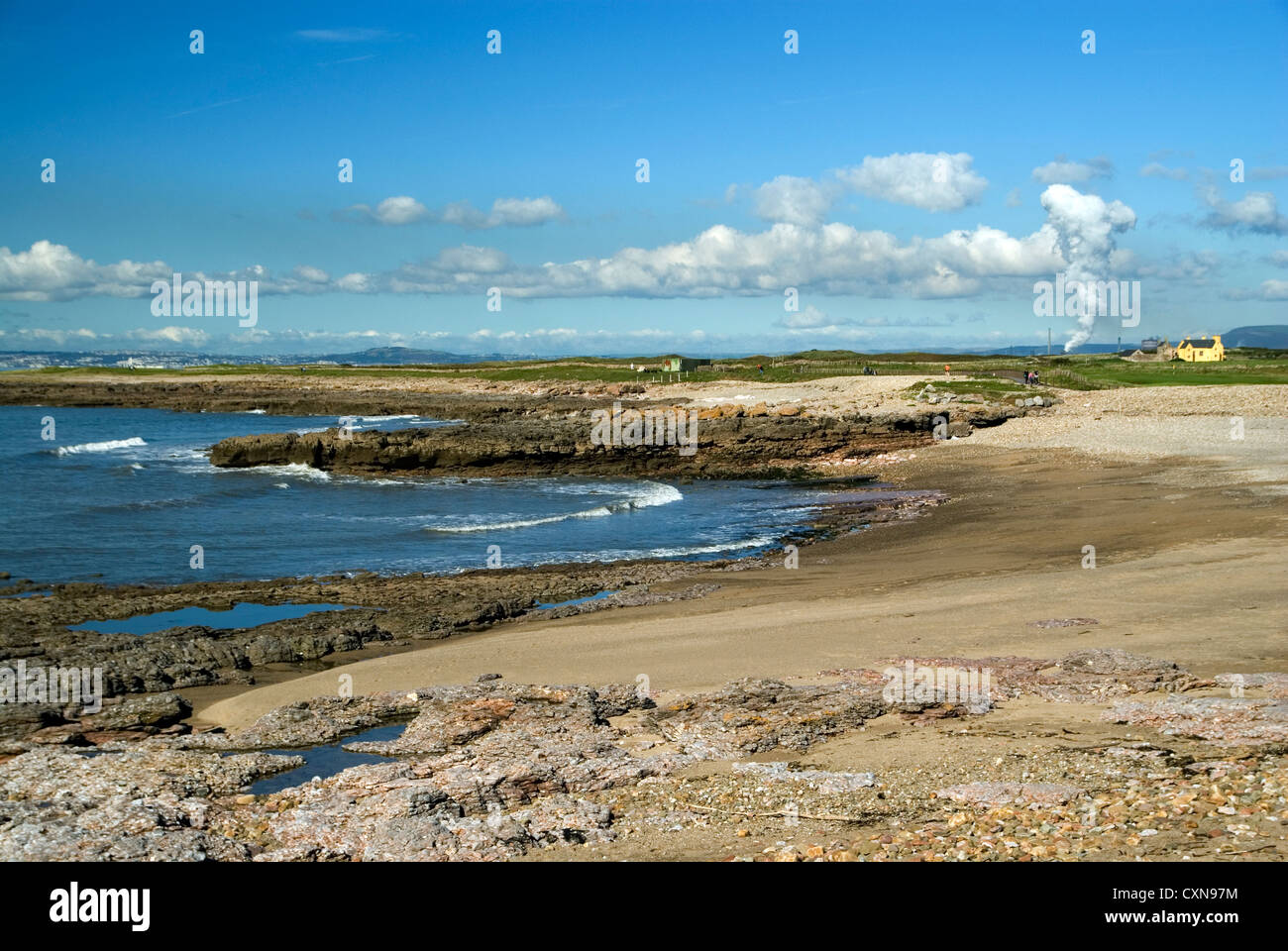 Baie rose porthcawl South Wales UK Banque D'Images