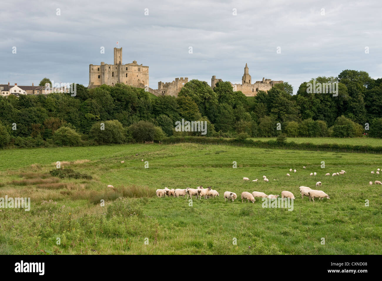 Château de Warkworth à Northumberland Banque D'Images