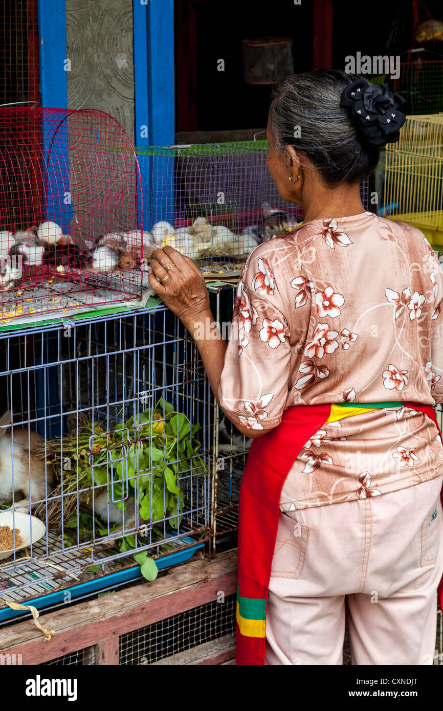 Femme regardant les souris dans une cage sur le marché aux oiseaux à Yogyakarta en Indonésie Banque D'Images