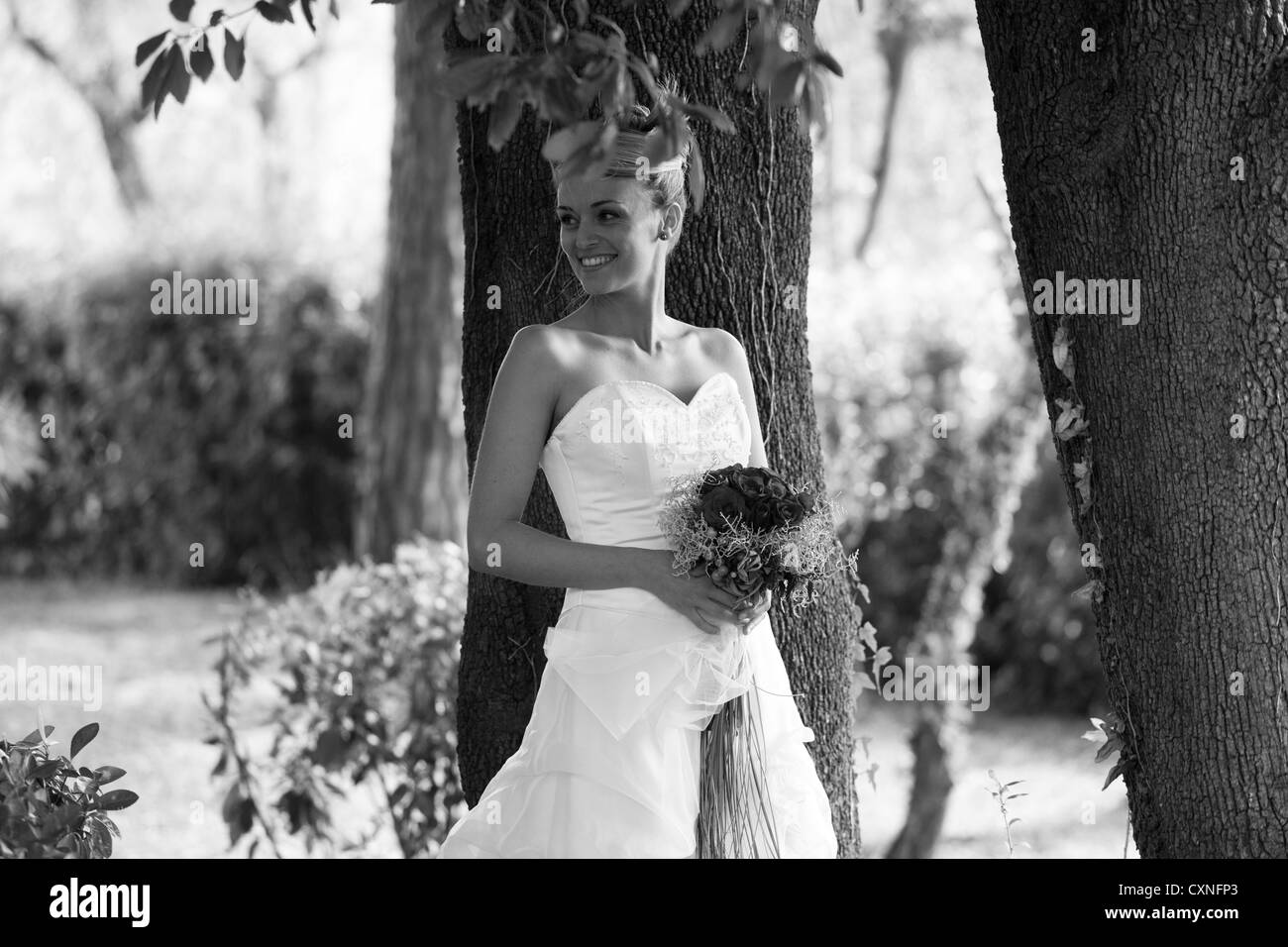 Wedding Banque D'Images