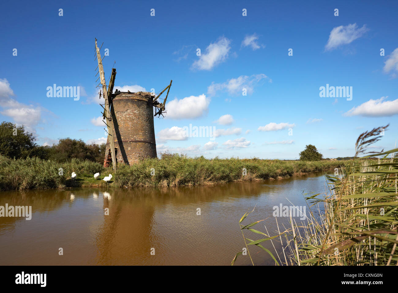 L'abandon de l'usine Brograve Norfolk drainage nouvelle coupe Waxham Horsey simple Banque D'Images