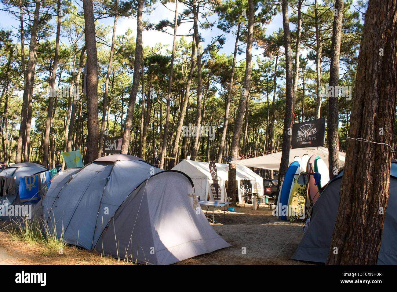 L'école de surf camp site dans le sud-ouest de la France terrain de camping  - Les Landes en forêt vacances d Photo Stock - Alamy