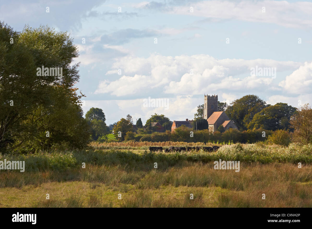 Wickhampton Norfolk église St Andrews marais Halvergate Banque D'Images