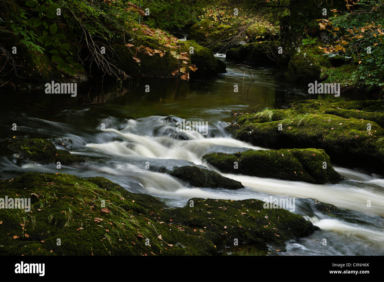 La rivière Devon s'engouffre dans la gorge à marmonner Bridge près de Kinross en Écosse. Banque D'Images