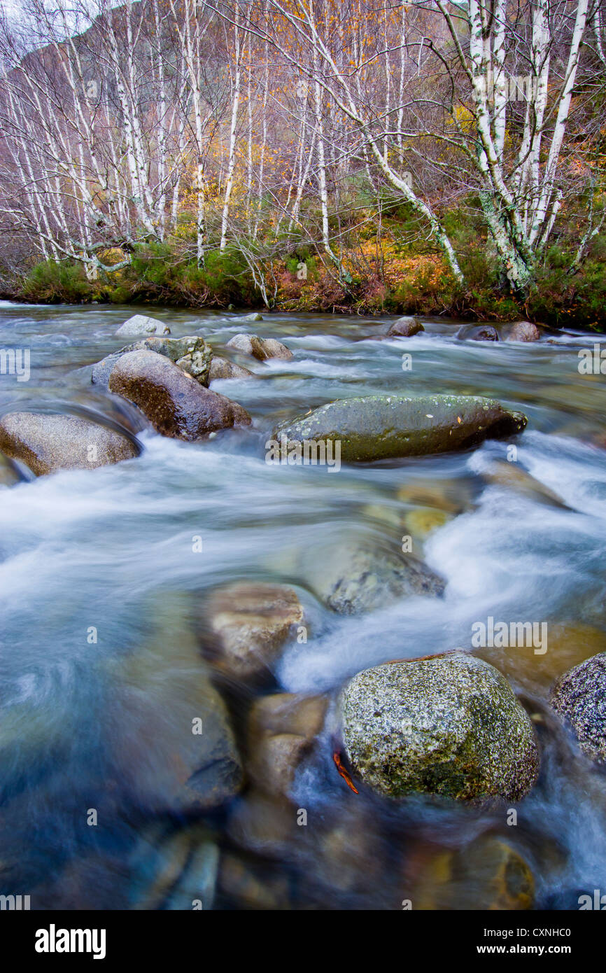 Paysage de la rivière. Laguna de las Lomas. Cardaño de Arriba. Palencia, Castille et Leon, Espagne. Banque D'Images