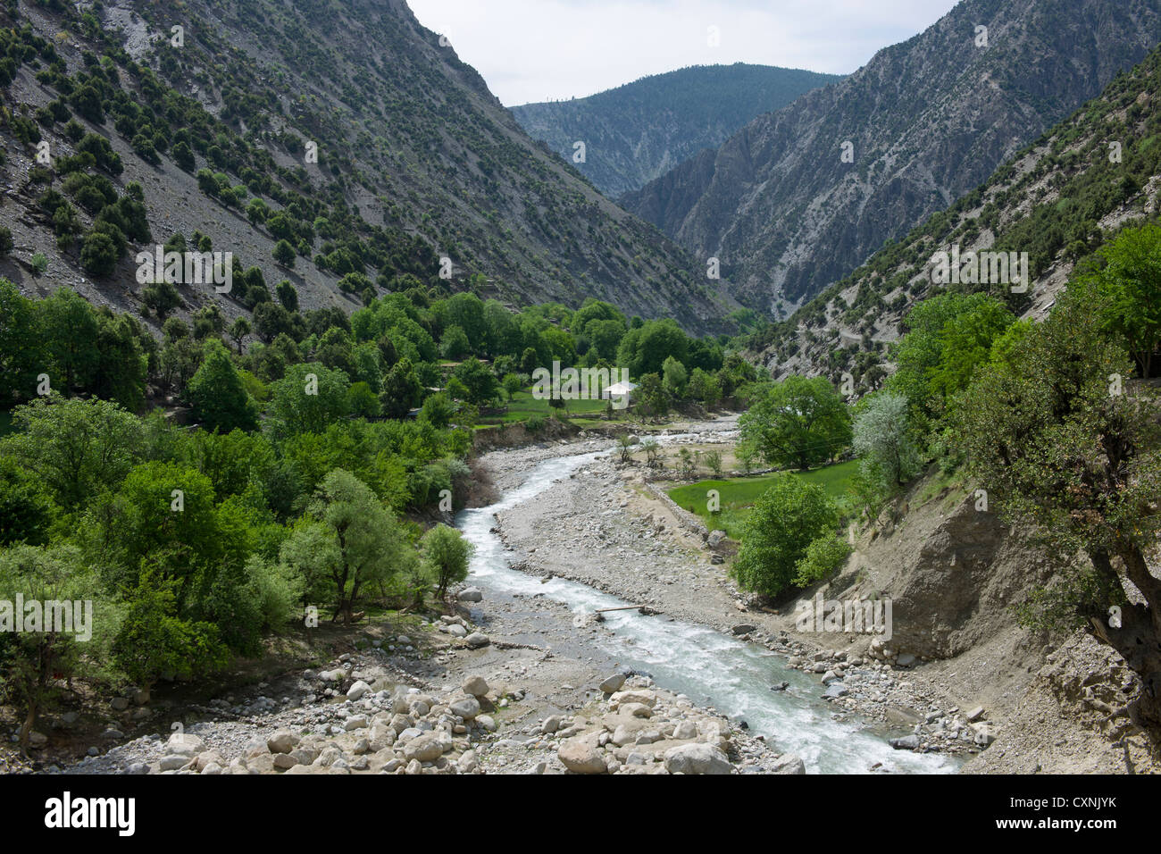 Jusqu'à la vallée de Rumbur, Chitral, Khyber-Pakhtunkhwa, Pakistan Banque D'Images