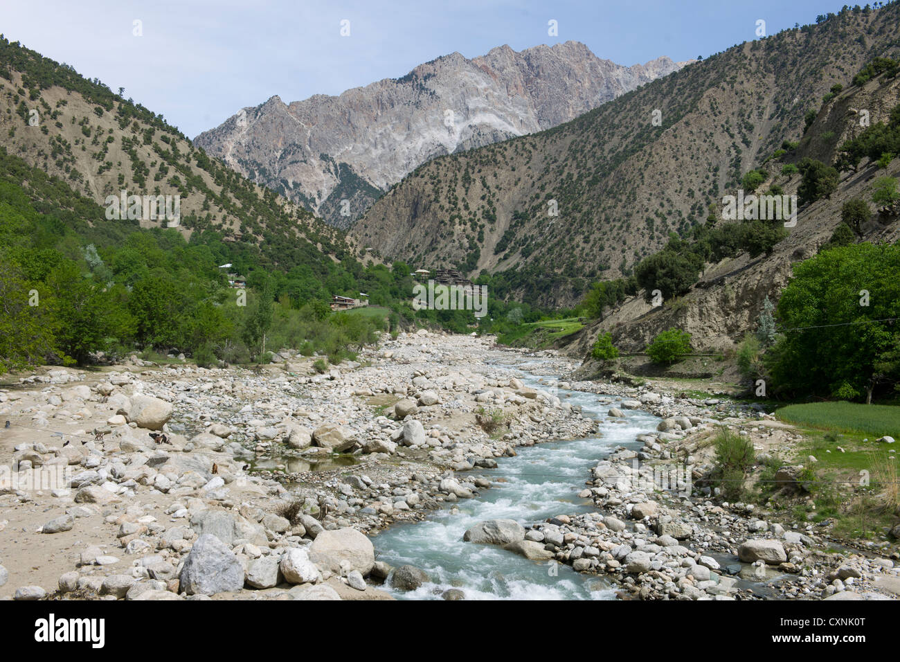 Jusqu'à la vallée de Rumbur, Chitral, Khyber-Pakhtunkhwa, Pakistan Banque D'Images