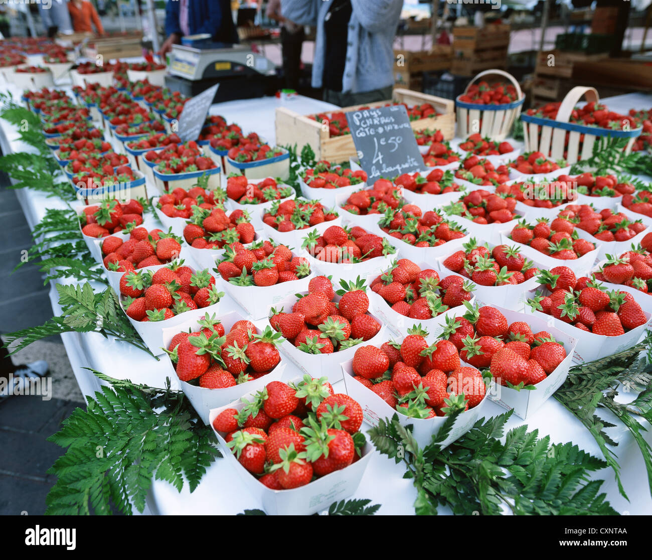 Fraises à l'échoppe de marché à Nice, France Banque D'Images