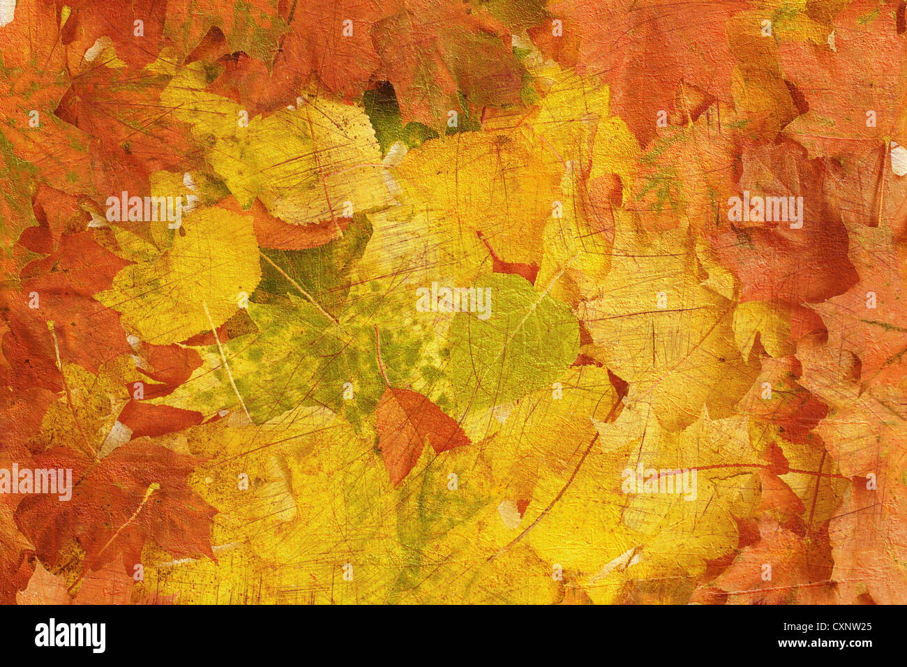 Les feuilles d'automne de composition rétro arrière-plan ou de toile Banque D'Images