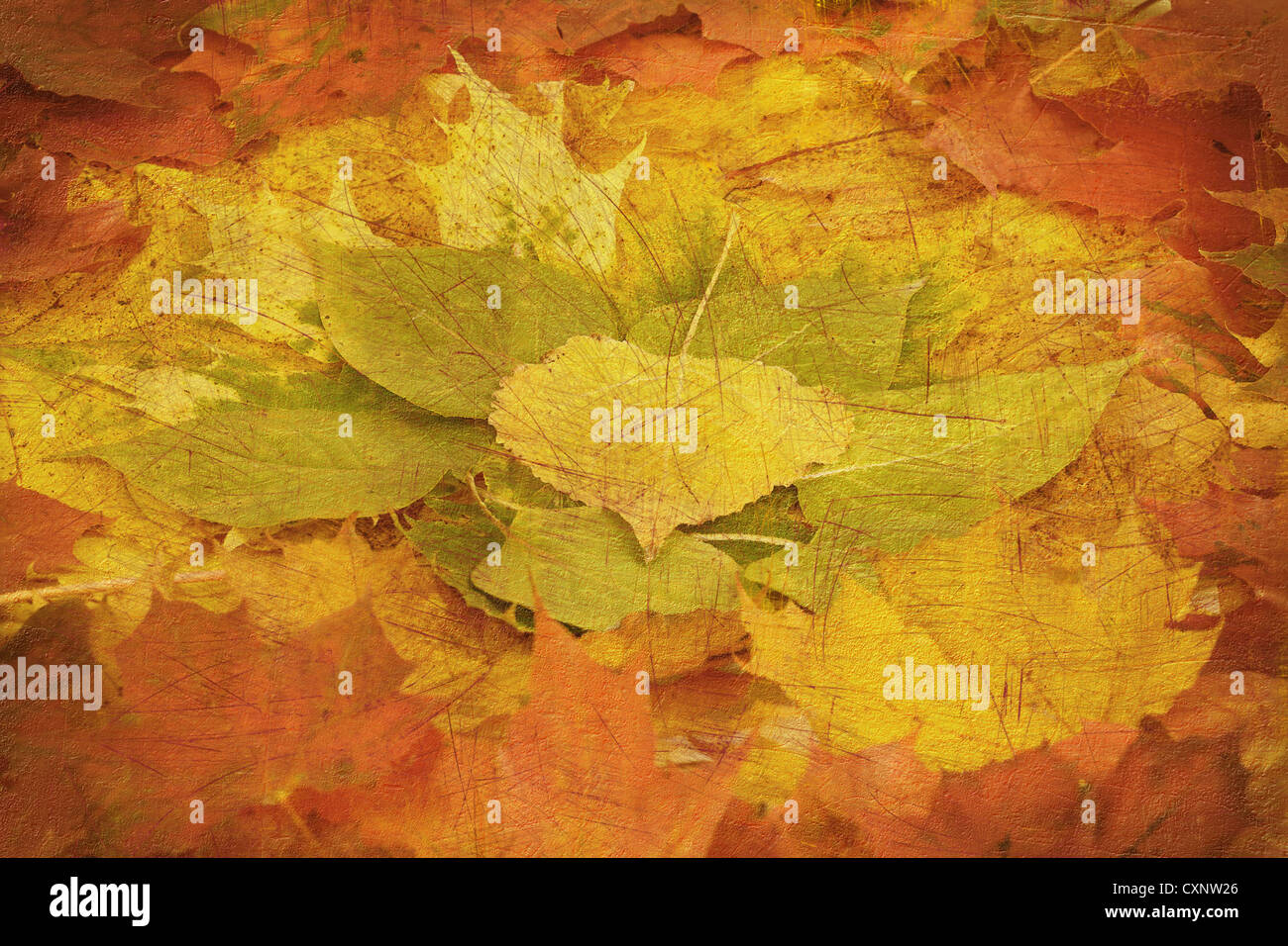 Les feuilles d'automne de composition rétro arrière-plan ou de toile Banque D'Images