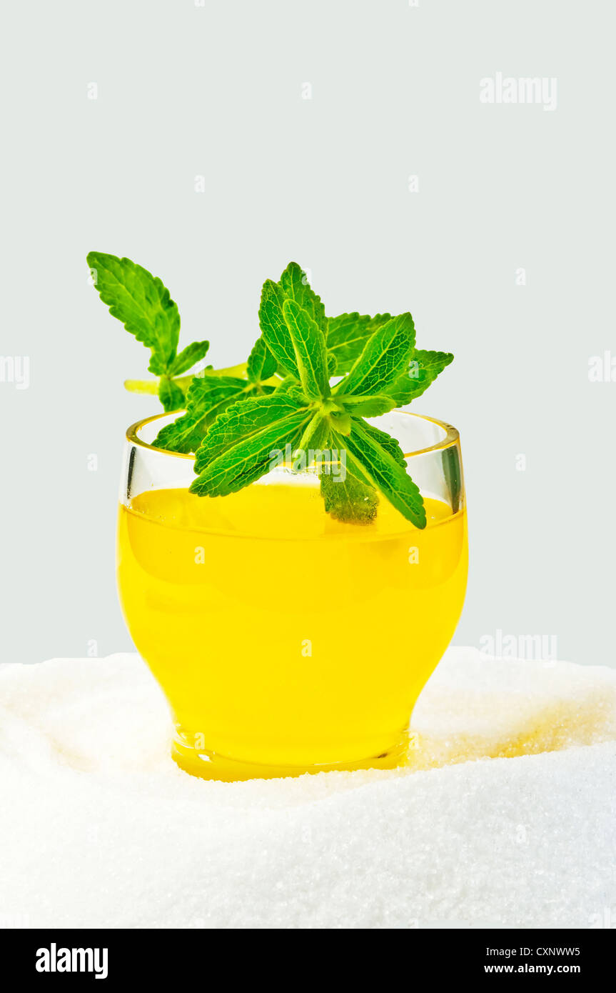 Support à base de Stevia rebaudiana pour le sucre avec zéro calorie Banque D'Images