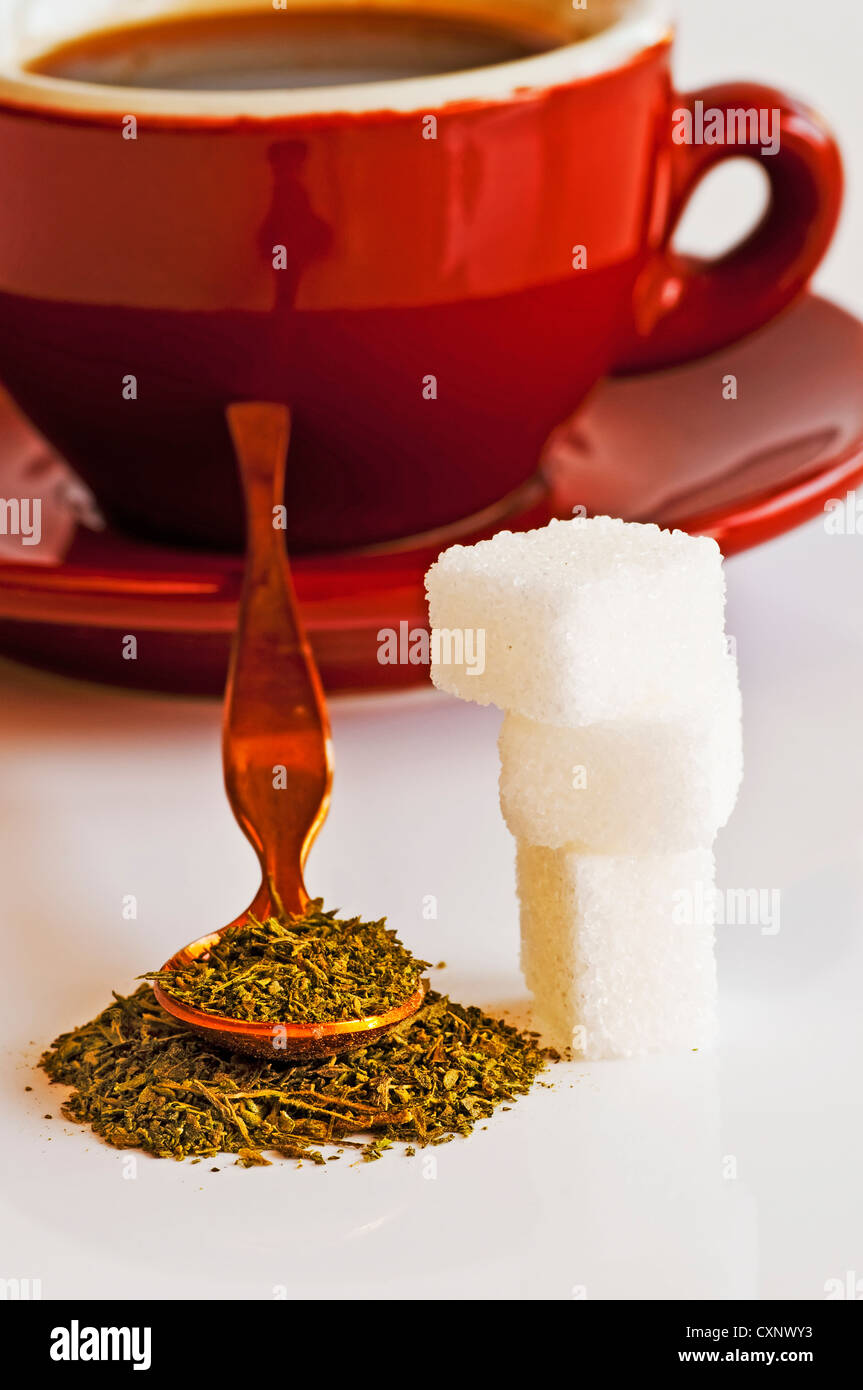 Support à base de Stevia rebaudiana pour le sucre avec zéro calorie Banque D'Images