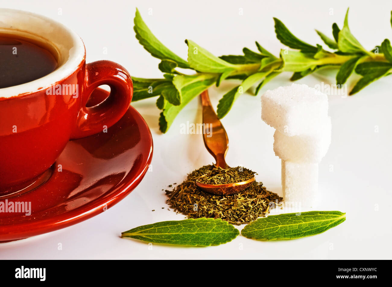 Support à base de Stevia rebaudiana pour le sucre avec zéro calorie Banque D'Images