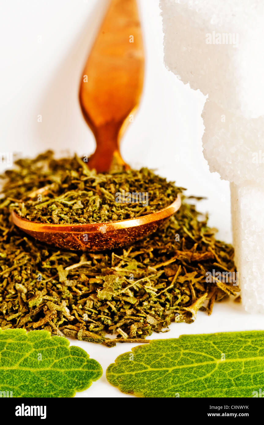 Support à base de Stevia rebaudiana pour le sucre avec zéro calorie Banque D'Images