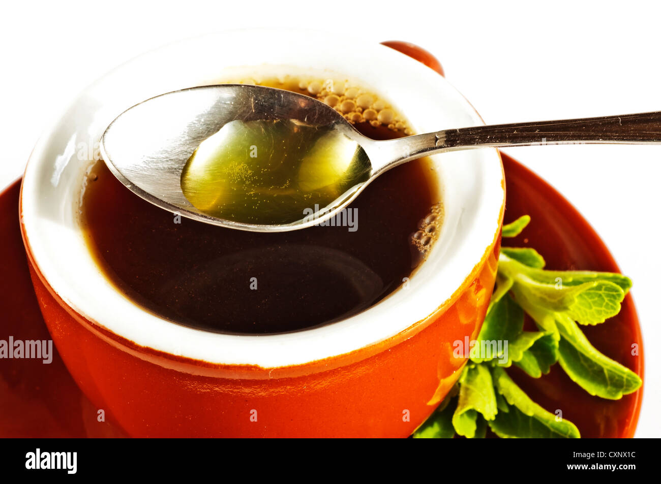 Le Stevia rebaudiana extrait fluide de support à base de sucre avec zéro calorie Banque D'Images