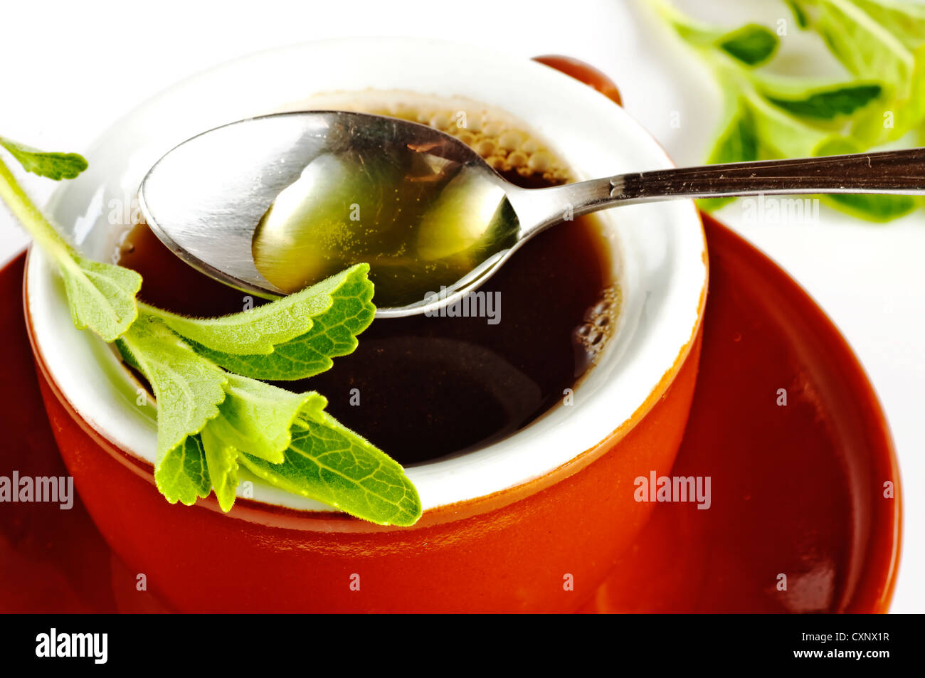 Le Stevia rebaudiana extrait fluide de support à base de sucre avec zéro calorie Banque D'Images